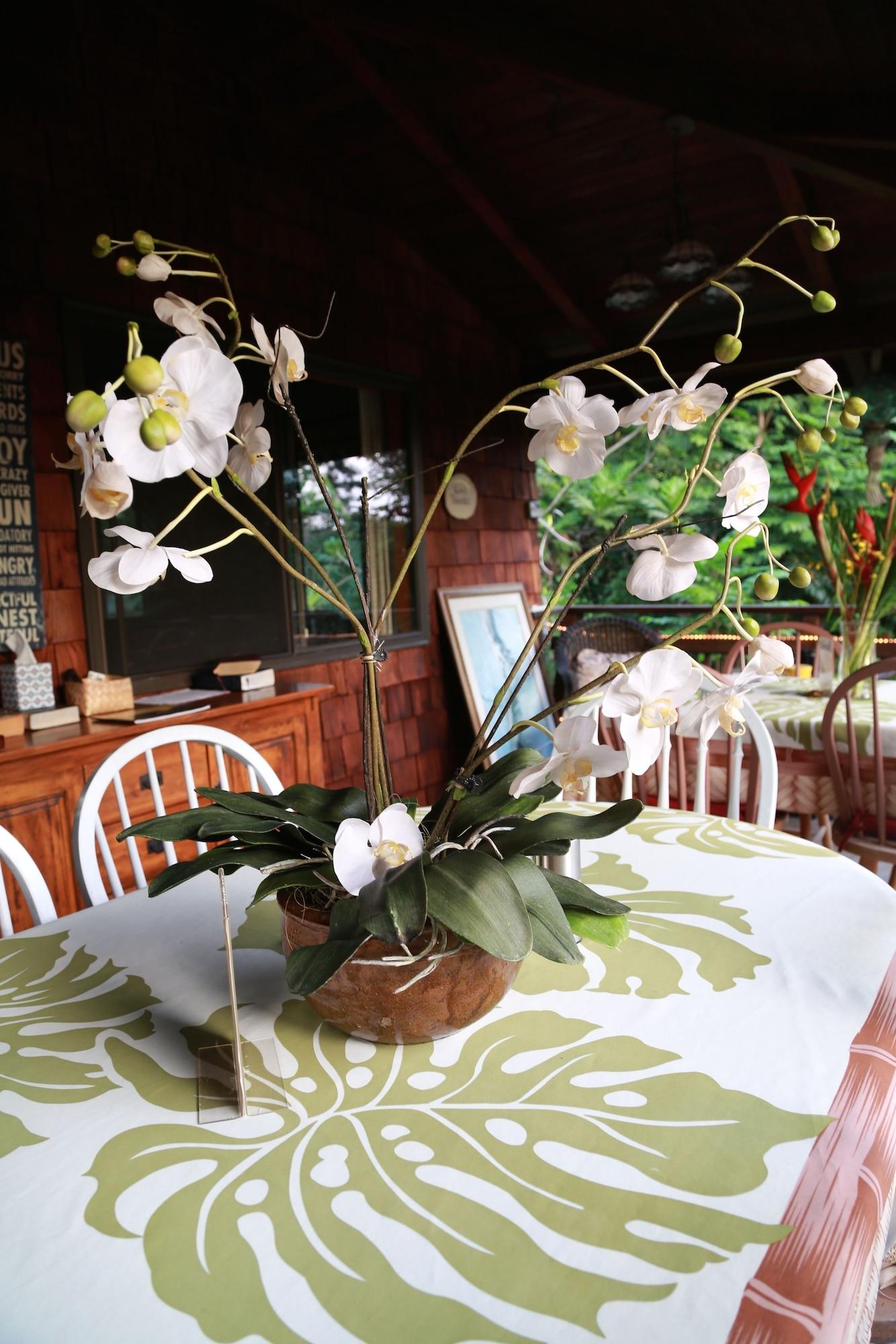 Hale Maluhia Country Inn Kailua-Kona Buitenkant foto