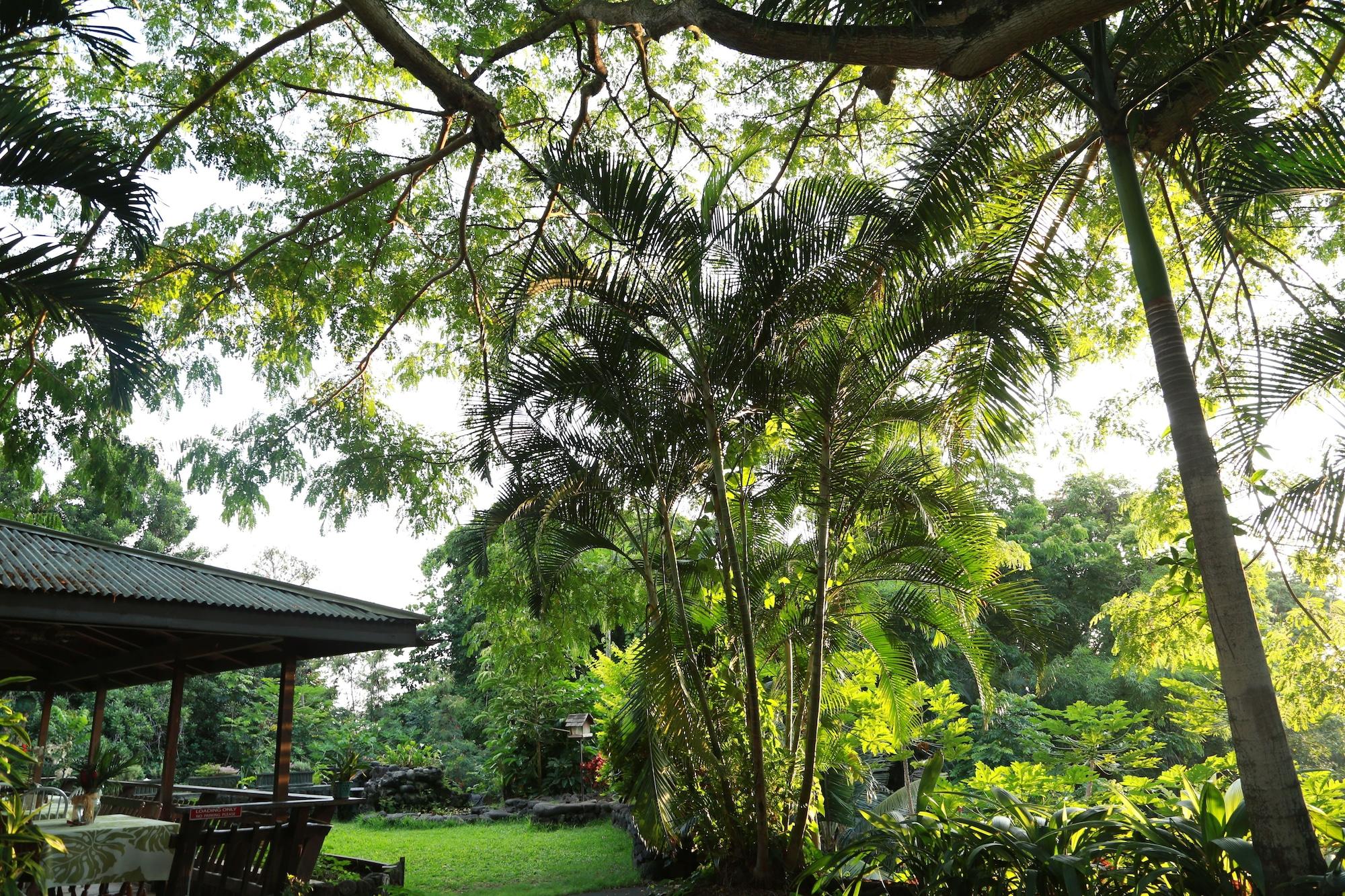 Hale Maluhia Country Inn Kailua-Kona Buitenkant foto